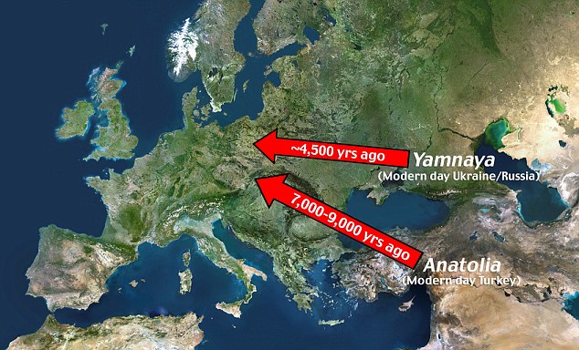 igracion anatolia. migracion indoeuropea,yamnaya, preindoeuropeo