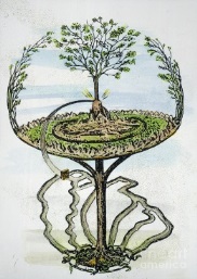 arbol del mundo