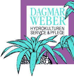 Pflanzen-Deko-Pate Dagmar Weber Hydrokulturen