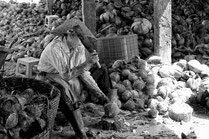 Au-delà de la pointe de la machette