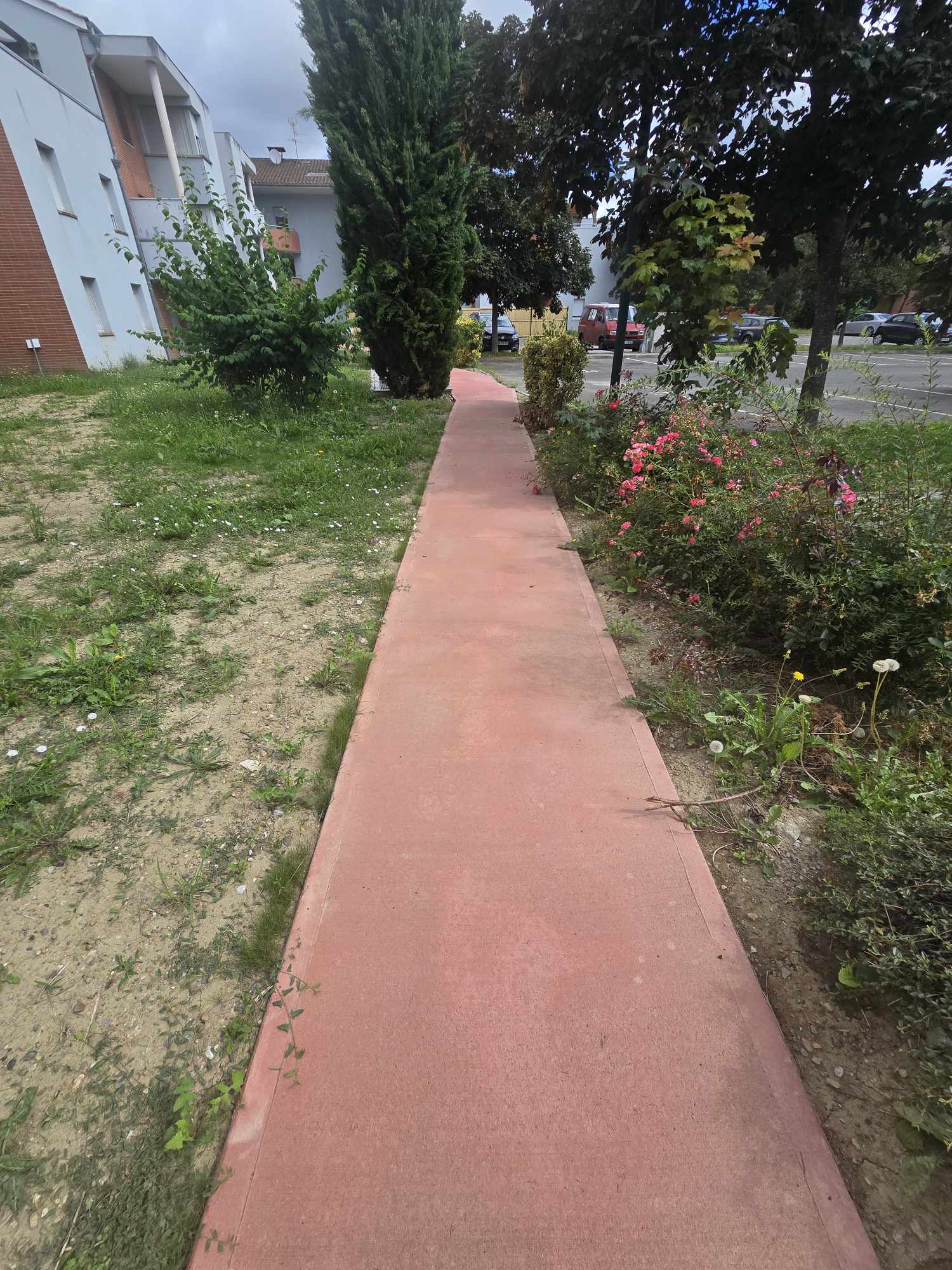 Réalisation de plusieurs chemins bétonnés avec finition balayée et quartz rouge 