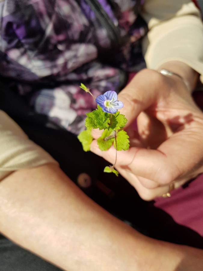 Natur vor der Tür