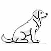 Hund
