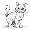 Katze