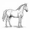 Pferd