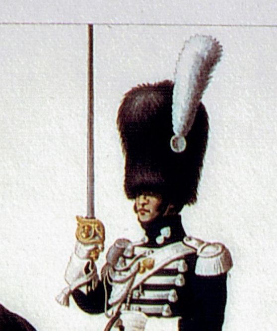 1824 : les bonnets des grenadiers sont trop grands et chers