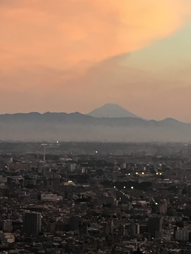 Mt. Fuji