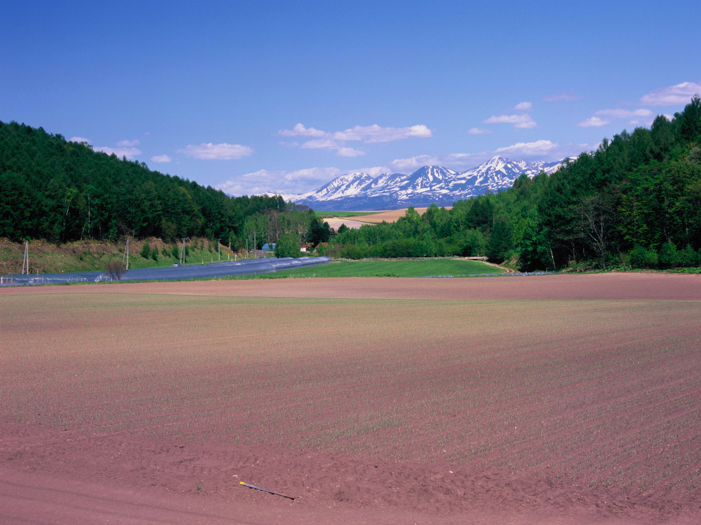 北海道中富良野町　早春のオプタテシケ山