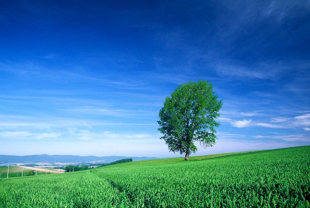 【オーダー用】北海道の風景写真 オーダー用】北海道の風景写真 2025.06.25 ZX-12Rで行った北海道