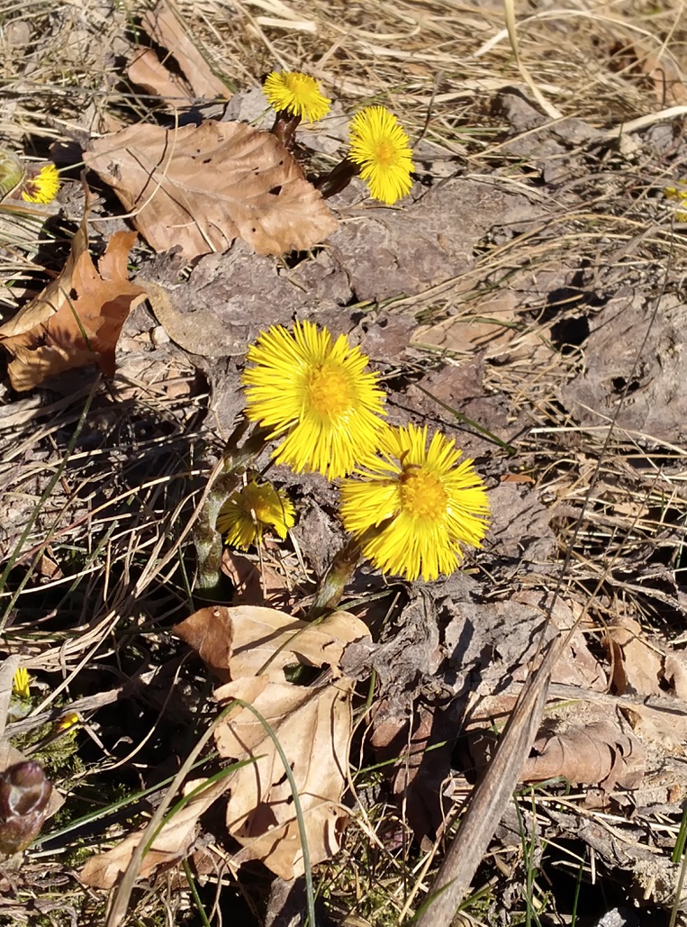 YogAroma 14. März 26