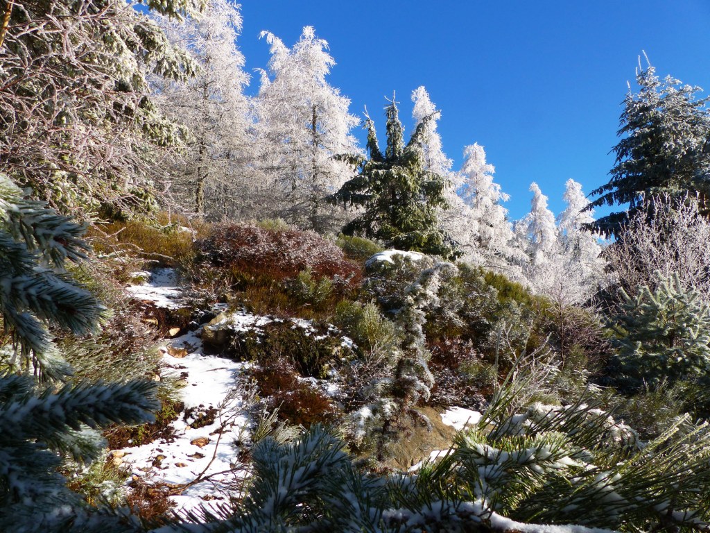Queyrieres, Haute-Loire, Massif du Meygal