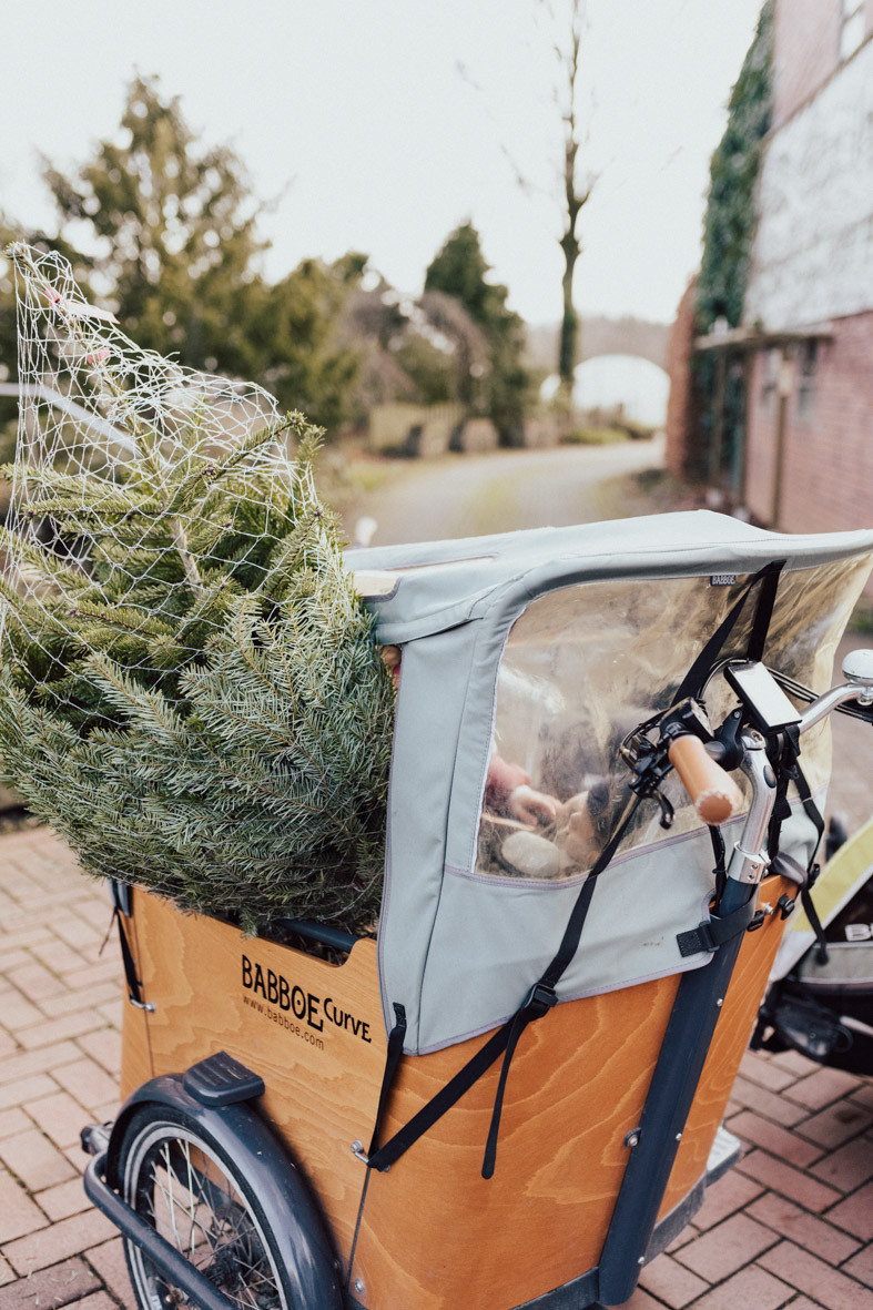 Weihnachtsbaum schlagen in Lüdinghausen, Nachhaltige Tannenbäume