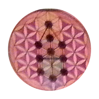 Fiore della vita N. 8