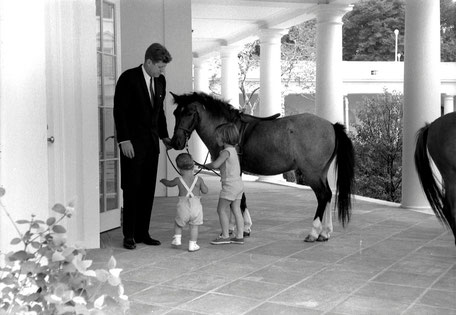 © Robert Knudsen · White House Photographs · John F. Kennedy Presidential Library and Museum, Boston