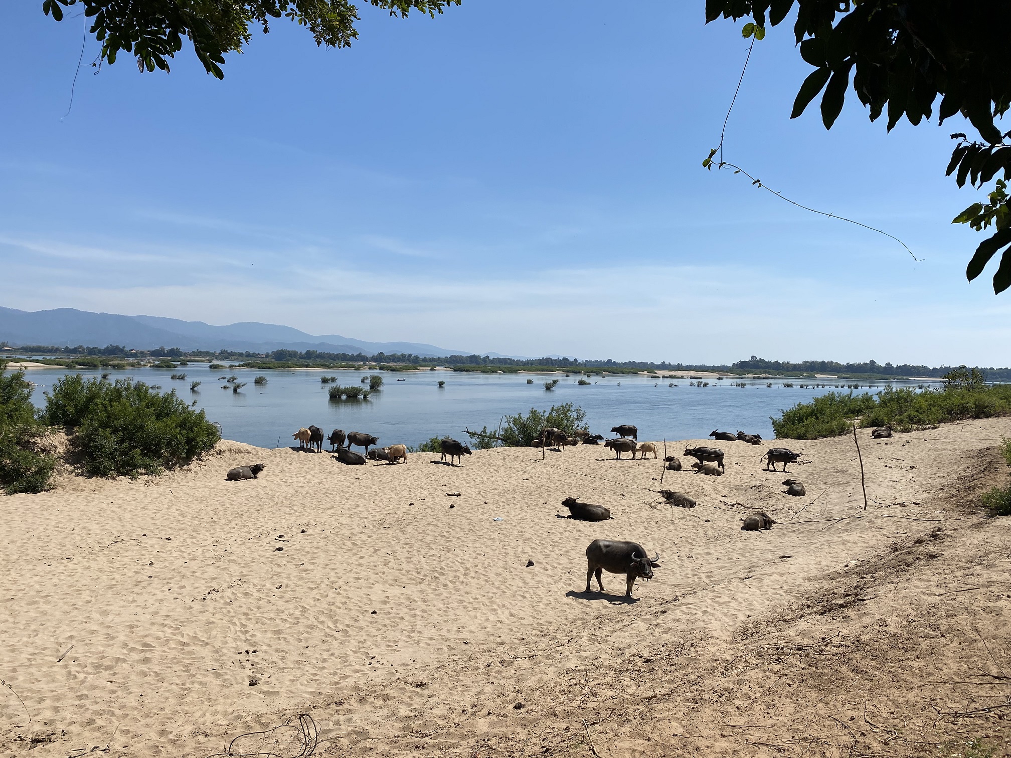 Mekongstrand - leider besetzt.