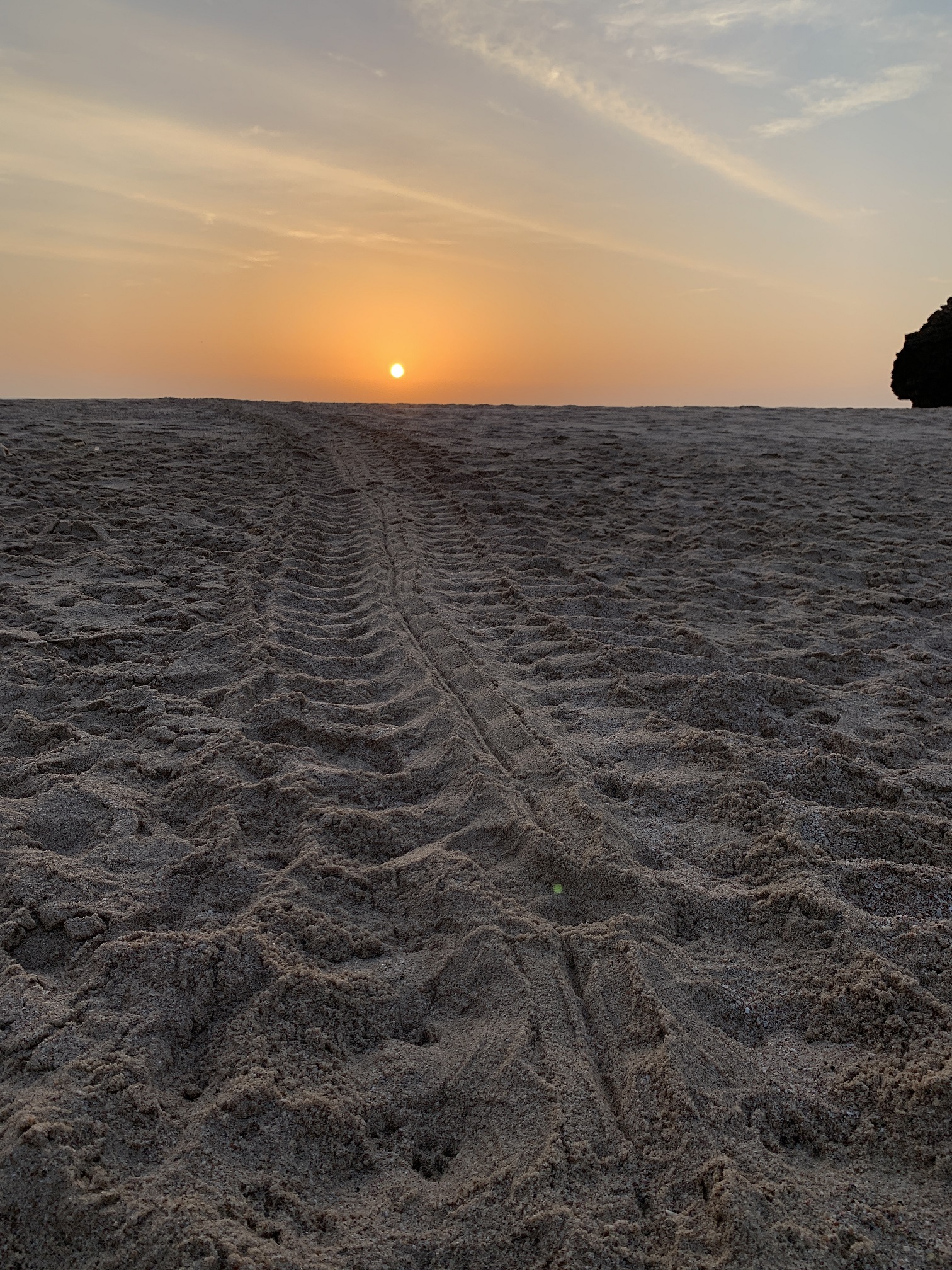 Spuren im Sand