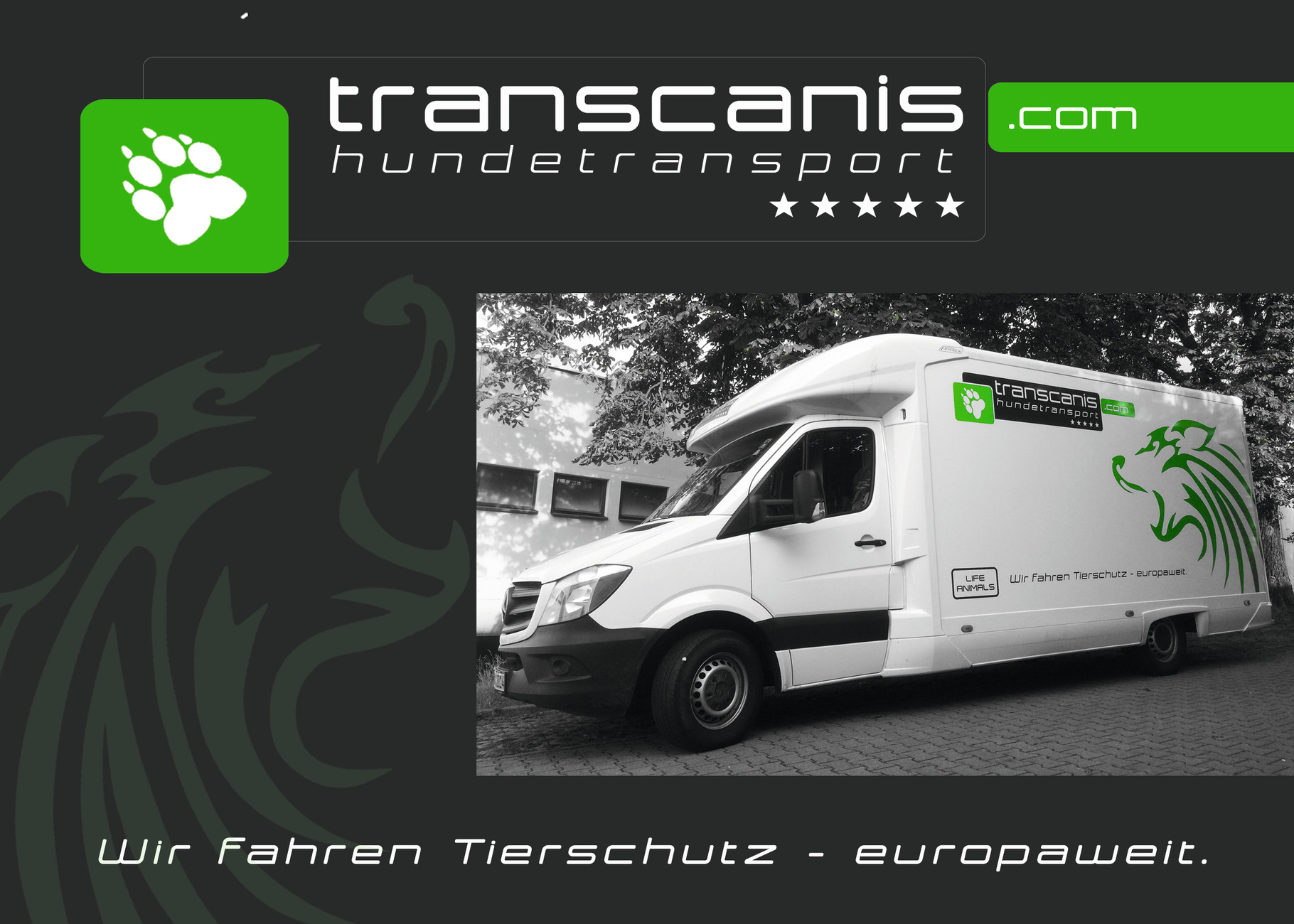 transcanis hundetransport transcanis webseite