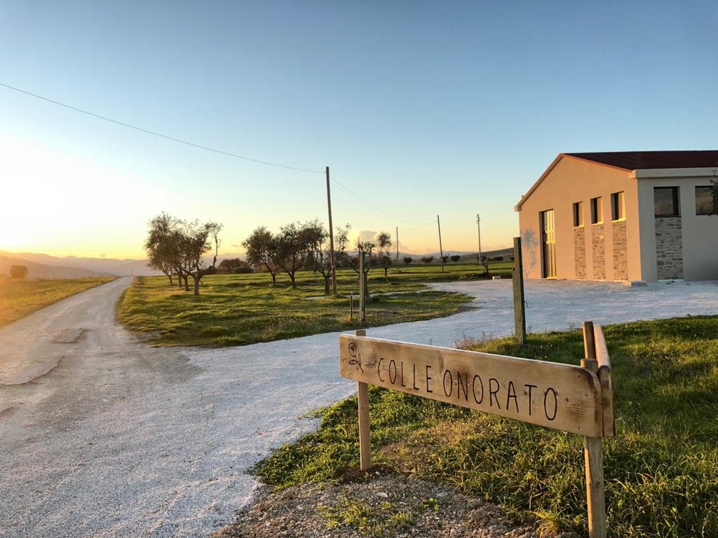 colleonorato vini, bottiglie verdicchio dei castelli di Jesi classico superiore DOC prologo e la giostra , rosso Piceno DOC il cortese, vino rosato, Bag in box da 5 litri, ancona, Jesi, marche, Italia, degustazioni.