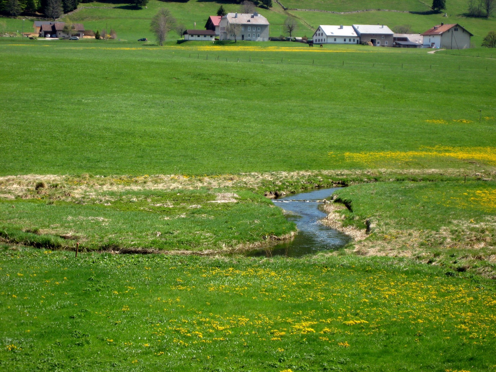 10 mai 2008