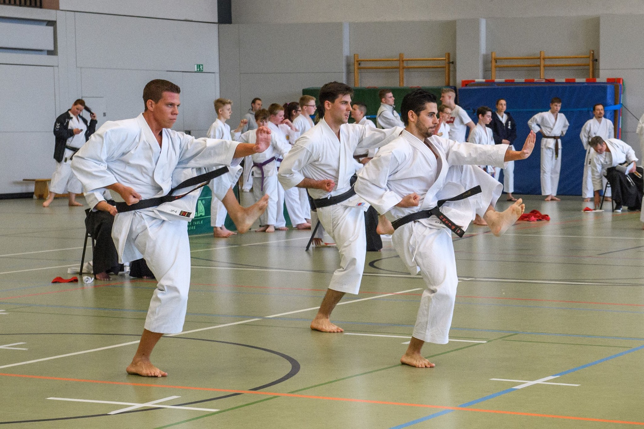 Das Training - Traditionell-Karate-Do-Berlin e.V.