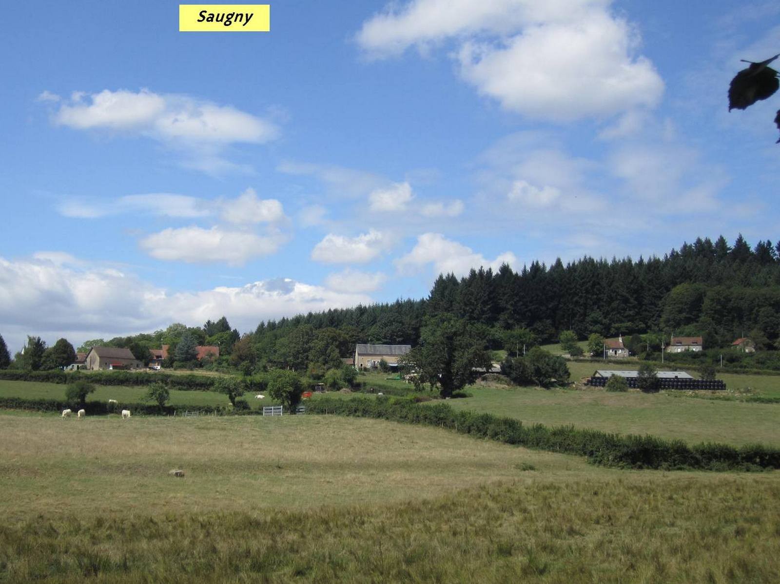 Accueil Gacogneenmorvan