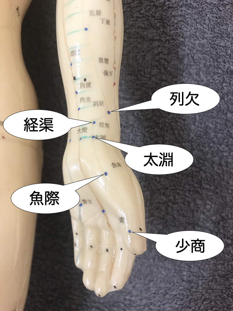 少 肺に属するツボ「少商」 - 【山本鍼灸院】