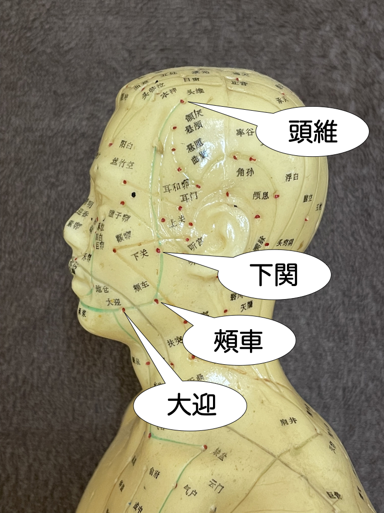 頭と首のツボ
