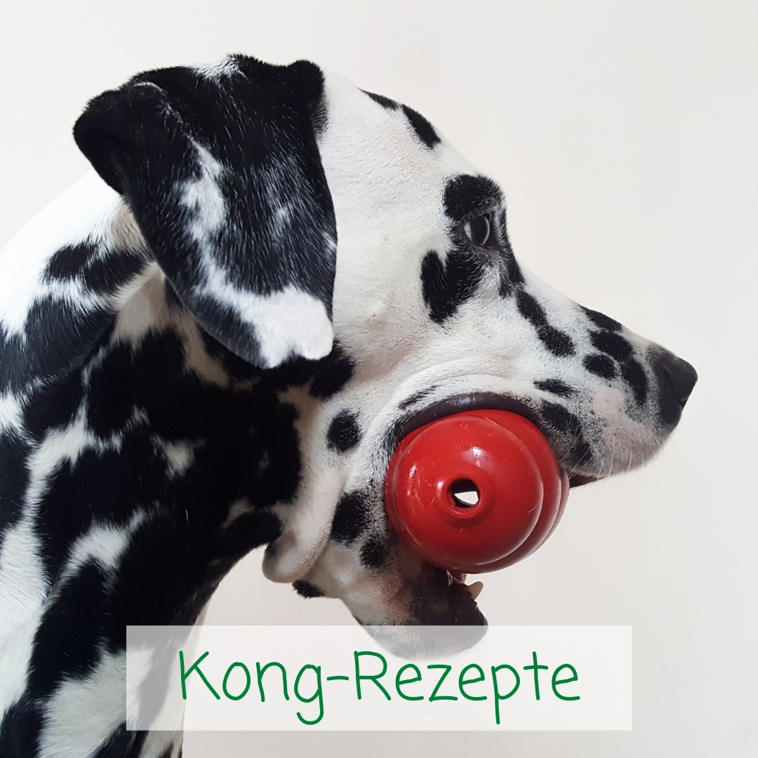 Leckere Kong-Rezepte für Hunde