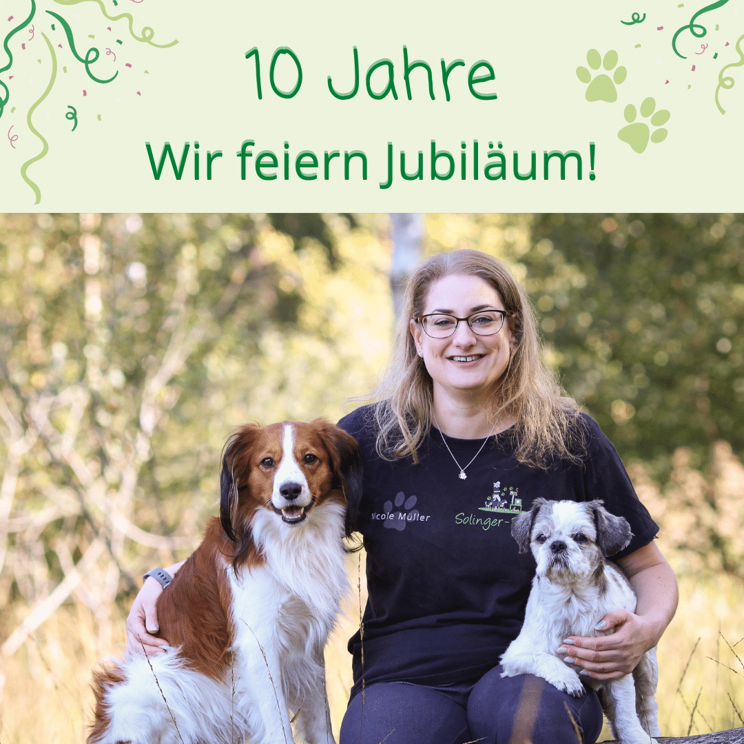 10 Jahre Solinger-Pfoten - Wir feiern Jubiläum!