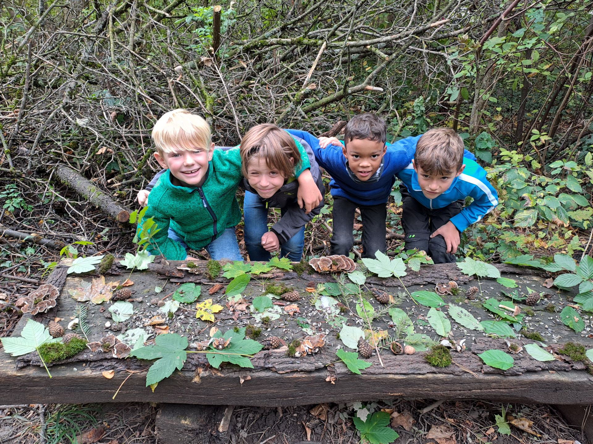 Wald-Kunstwerke der 3f