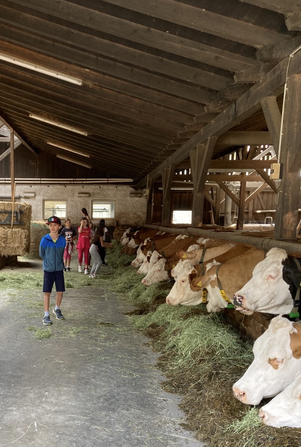Der Weg der Milch – ein spannendes Erlebnis für die Klasse 3b
