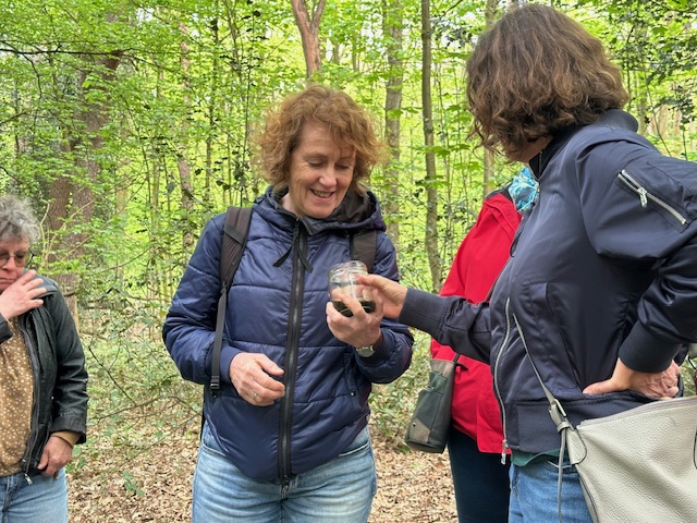 Ein kleines Wunder – Grasfroschkaulquappen