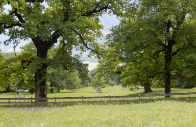 proQuercus Newsletter 2025/2_fr