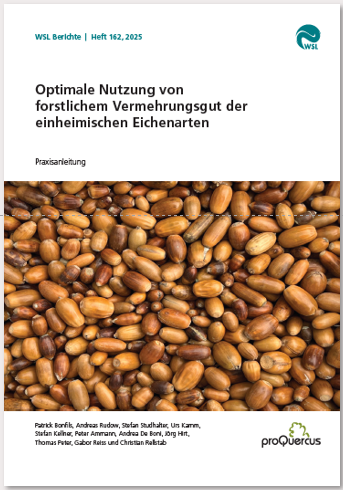 Optimierung Forstliches Vermehrungsgut Eiche