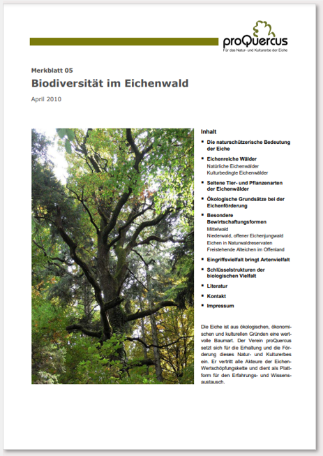 05 Biodiversität im Wald