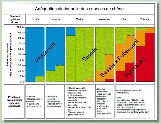 Adéquation stationnelle des espèces (-> Dossier 1)