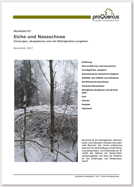 07 Eiche und Nassschnee