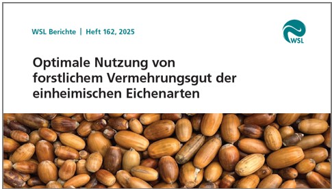 Forstliches Vermehrungsgut für die Eiche [Link]