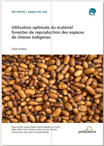 Matériel forestier de reproduction -Chêne