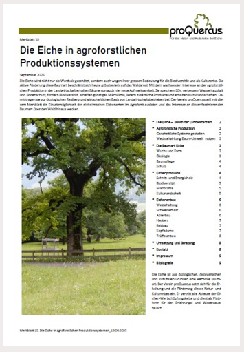 10 Die Eiche in agroforstlichen Produktionssystemen