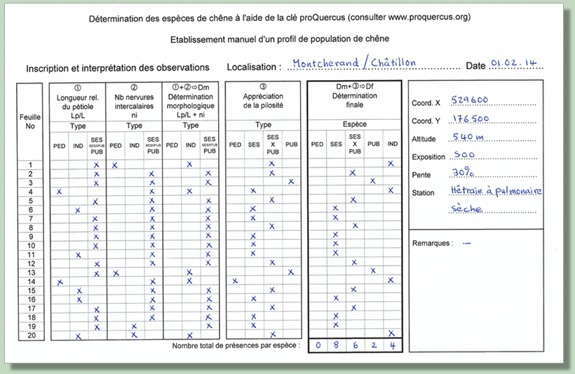 Formulaire d’établissement d’un profil de population de chêne  (-> Dossier 2)
