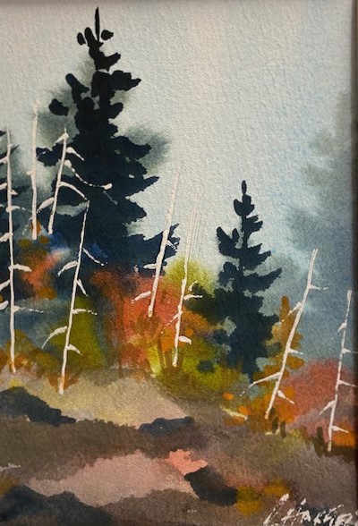 THE TALL PINE  7 x 5 watercolour (matted 10 x 8)