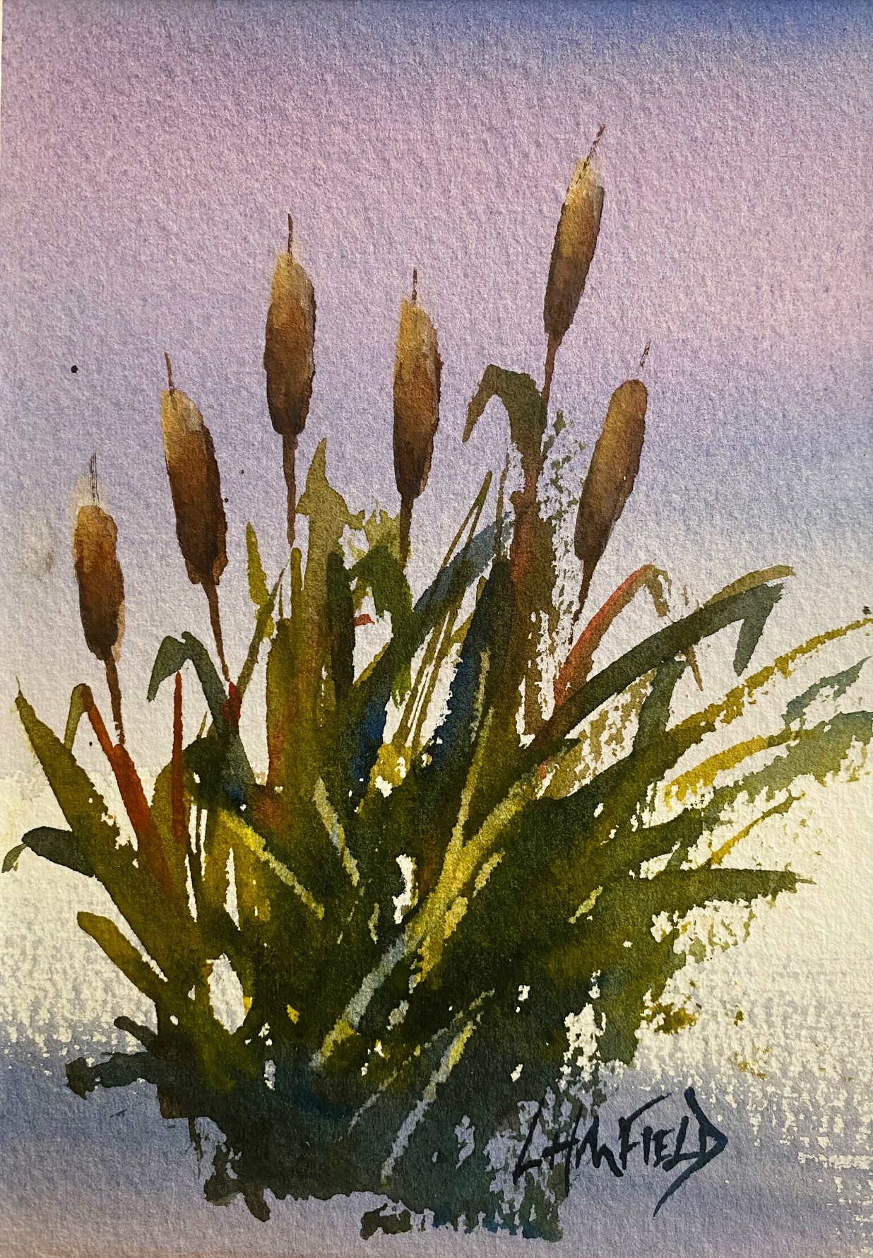 BULRUSHES AND SHINING WATER 7 x 5 watercolour (matted 10 x 8)