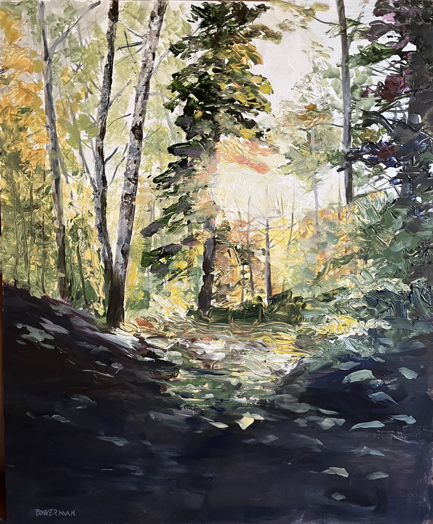 SERENITY 17 x 14 acrylic by Barry Bowerman 