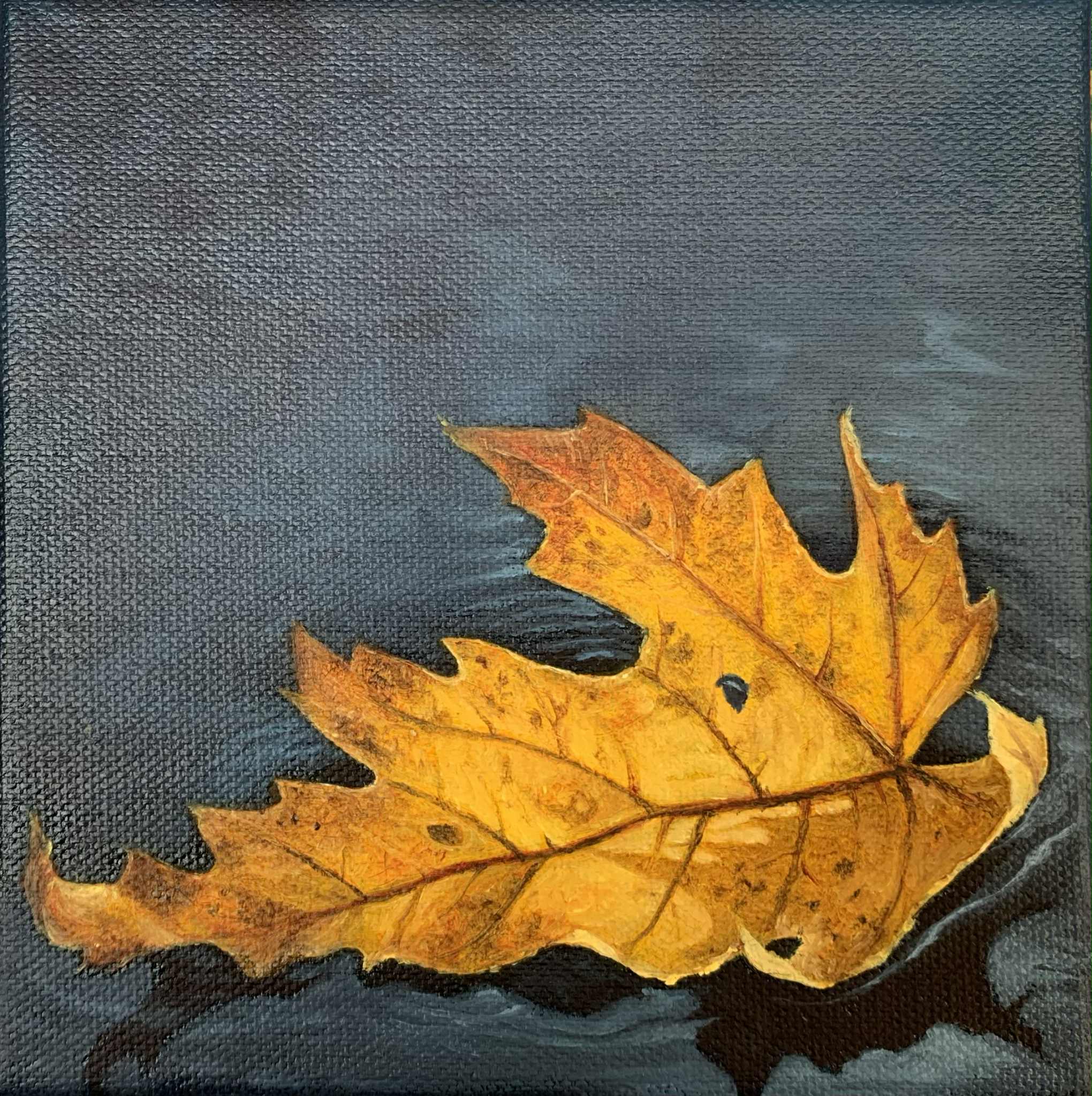 ADRIFT 6 x 6 oil 