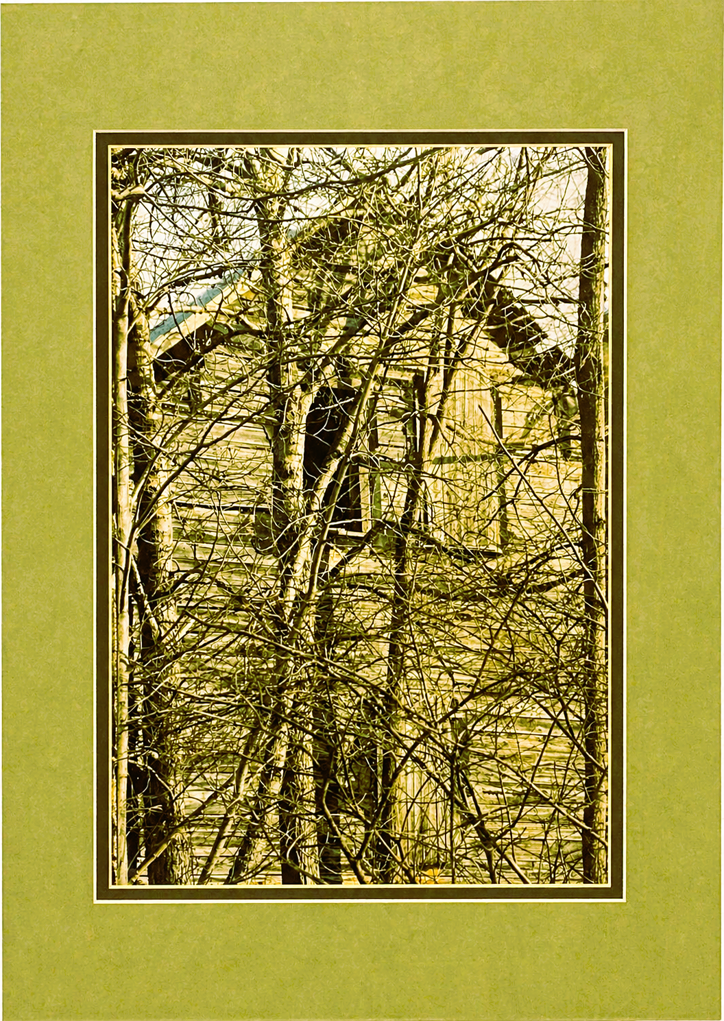 FILIGREE print 1 of 12  18 x 12 framed 24 x 18 by George Hill 