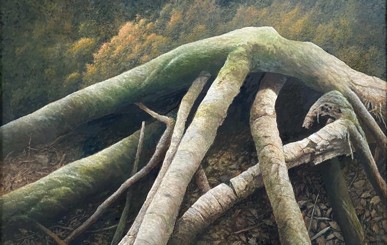 ROOTS 20 x 30 oil  