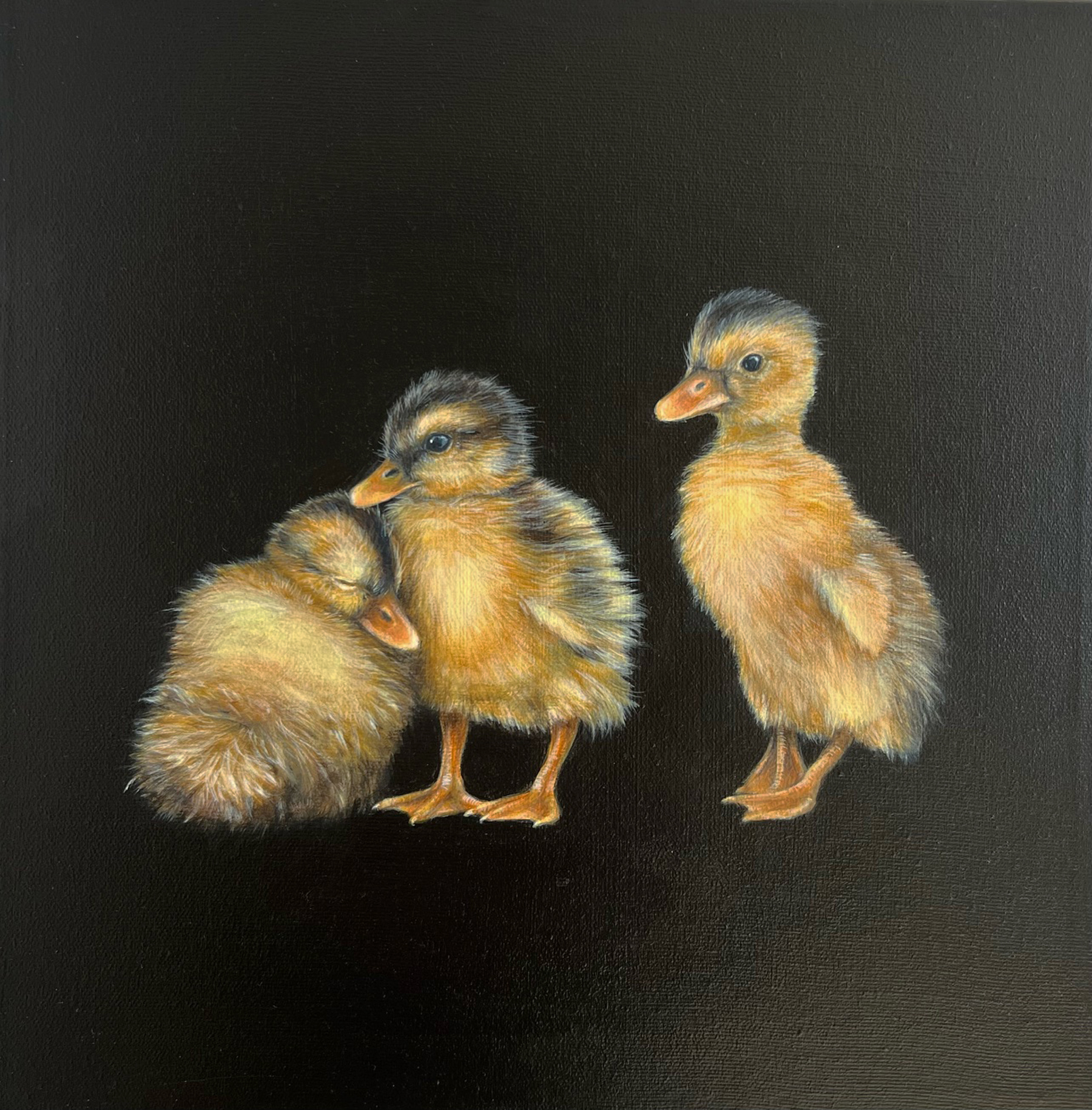 IN GOOD COMPANY 12 x 12 oil on canvas 