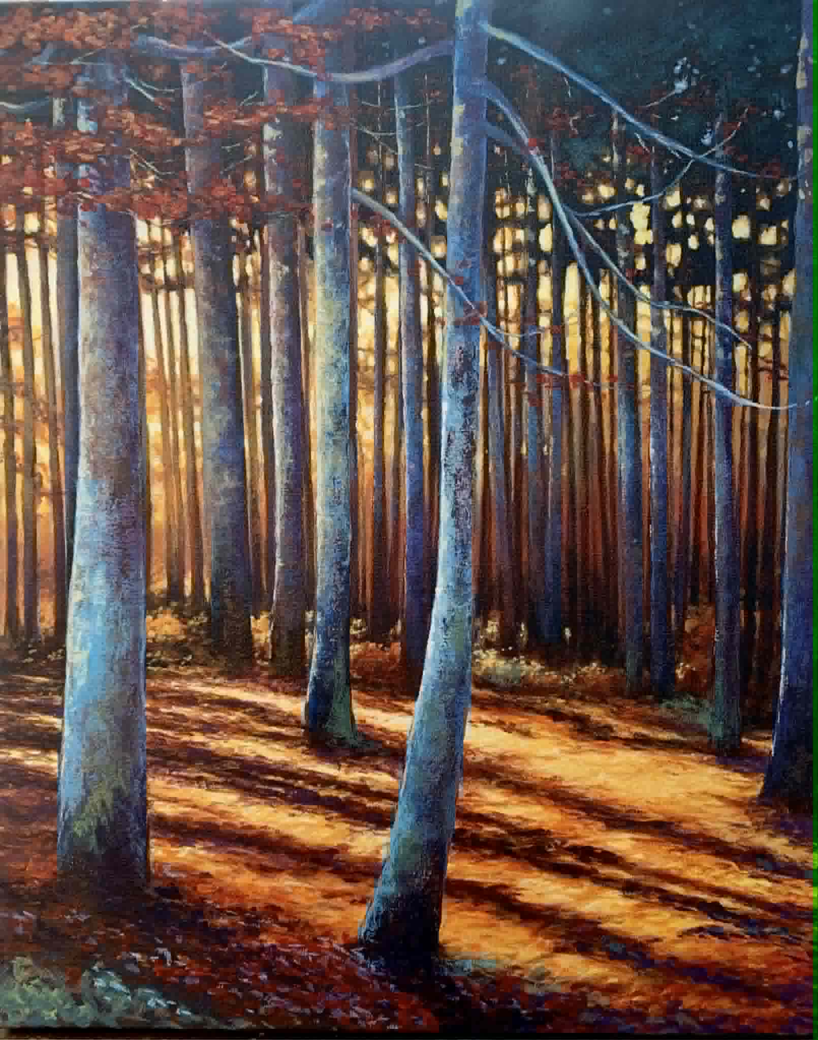 SEE THE FOREST FOR THE TREES 20 x 16 acrylic 