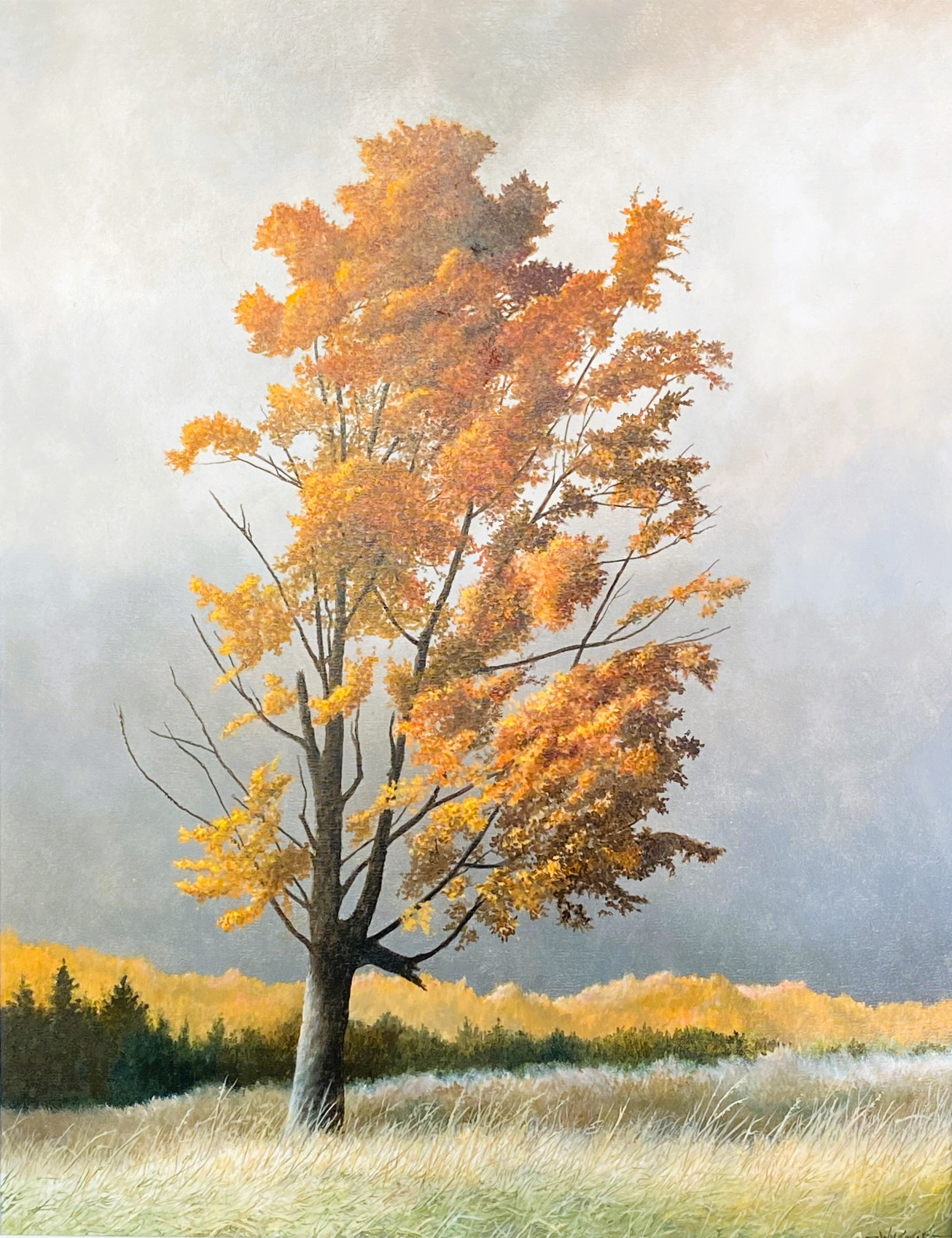 FALL GLORY 28 x 22 oil
